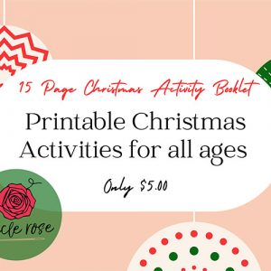 Fun Activity Book for the Holidays